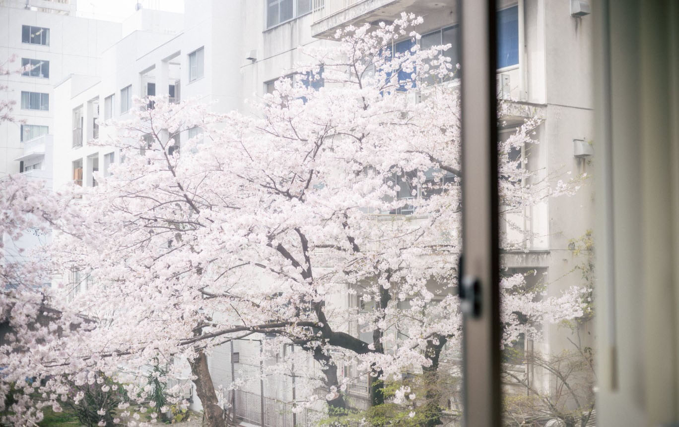 アスリンクから見える景色